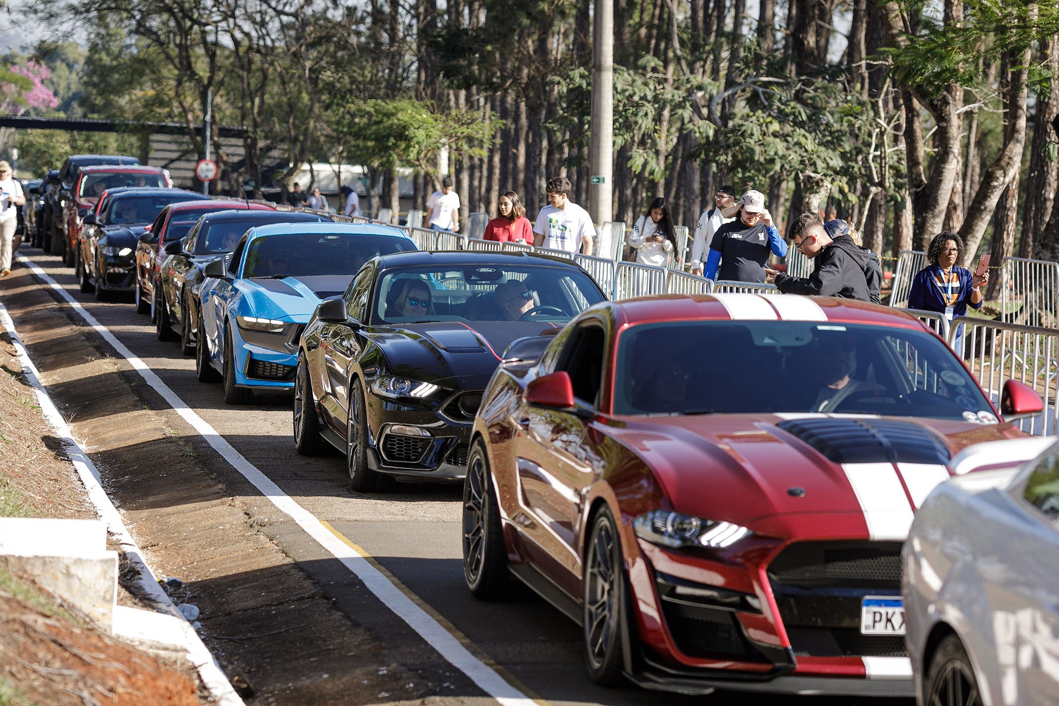 Desfile de Mustang